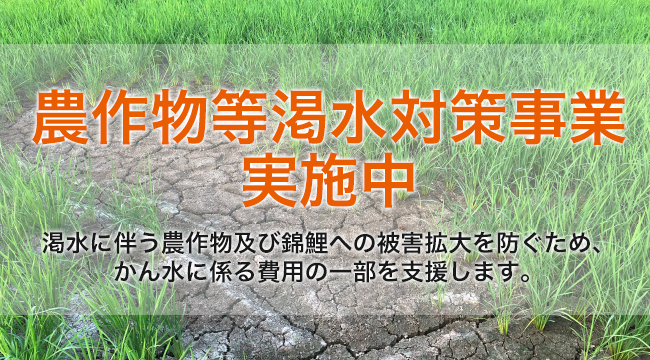 「農作物等渇水対策事業実施中」の画像