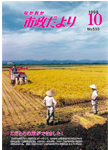 「平成10年10月／第530号」の画像