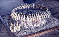 「鮎の塩焼き」の画像