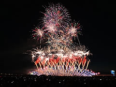 「花火「この空の花」」の画像