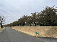 「越路河川公園」の画像1
