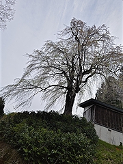 「栗山沢」の画像1