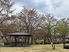 「せせらぎ公園」の画像1
