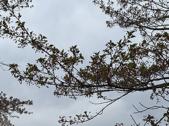 「せせらぎ公園」の画像2