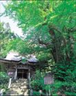 西生寺の即身仏「弘智法印」