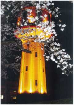 「夜桜とライトアップタワー」の画像