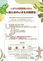 「チラシ」の画像