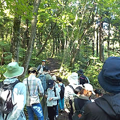 「ぬか山散策中の様子」の画像