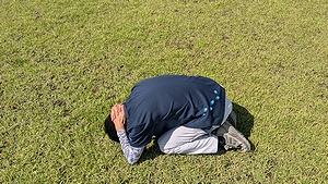 「防御姿勢（イノシシ）」の画像