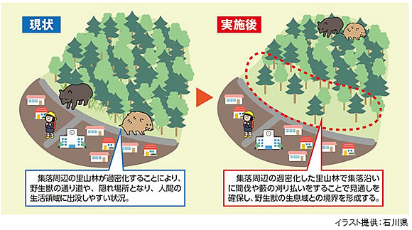 「鳥獣緩衝帯整備のポイント」の画像