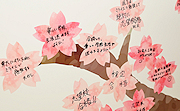 記事「桜咲かそう！頑張る受験生をみんなで応援」の画像