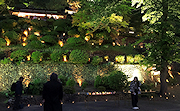 記事「新緑を鮮やかに！楽山苑をライトアップ」の画像