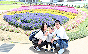記事「笑顔も花も満開！花いっぱいフェア」の画像
