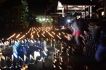 「約２万５千個の竹灯籠」の画像