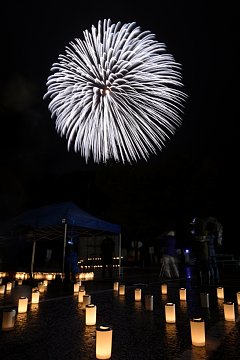 「追悼の花火「白菊」」の画像