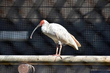 「「トキみ～て」がオープンして約1カ月」の画像