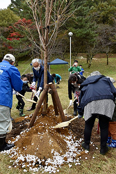 「悠久山公園再整備計画の一環」の画像