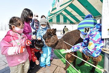 「長岡雪しか祭りの様子」の画像4