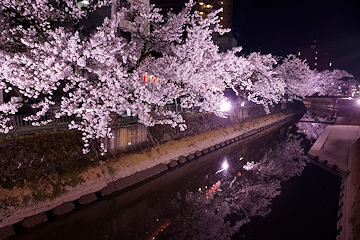 「柿川ライトアップ」の画像