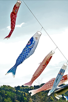 「岩田鯉のぼり」の画像2