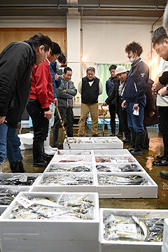 「寺泊漁業協同組合で初競り」の画像