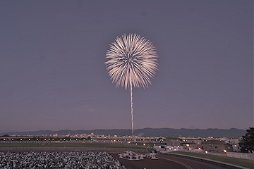 「10号3発「白菊」」の画像2