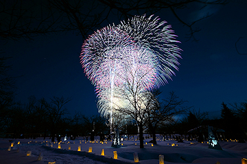 「長岡雪しか祭り」の画像