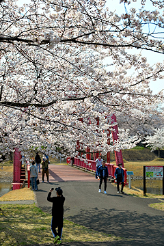 「越路河川公園」の画像1