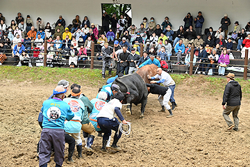 「拍手が送られていました」の画像