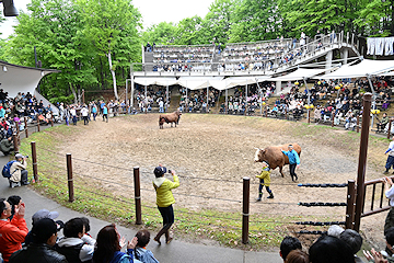 「県内外から約1000人が来場」の画像1