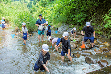 「相川川で生き物観察や魚の放流を体験」の画像