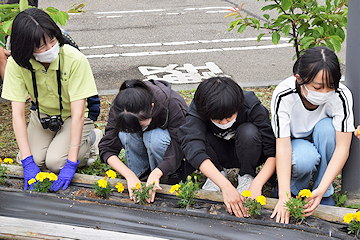 「色とりどりの花が咲く花壇を管理」の画像2