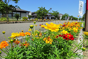 「色とりどりの花が咲く花壇を管理」の画像3