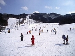 「市営スキー場」の画像